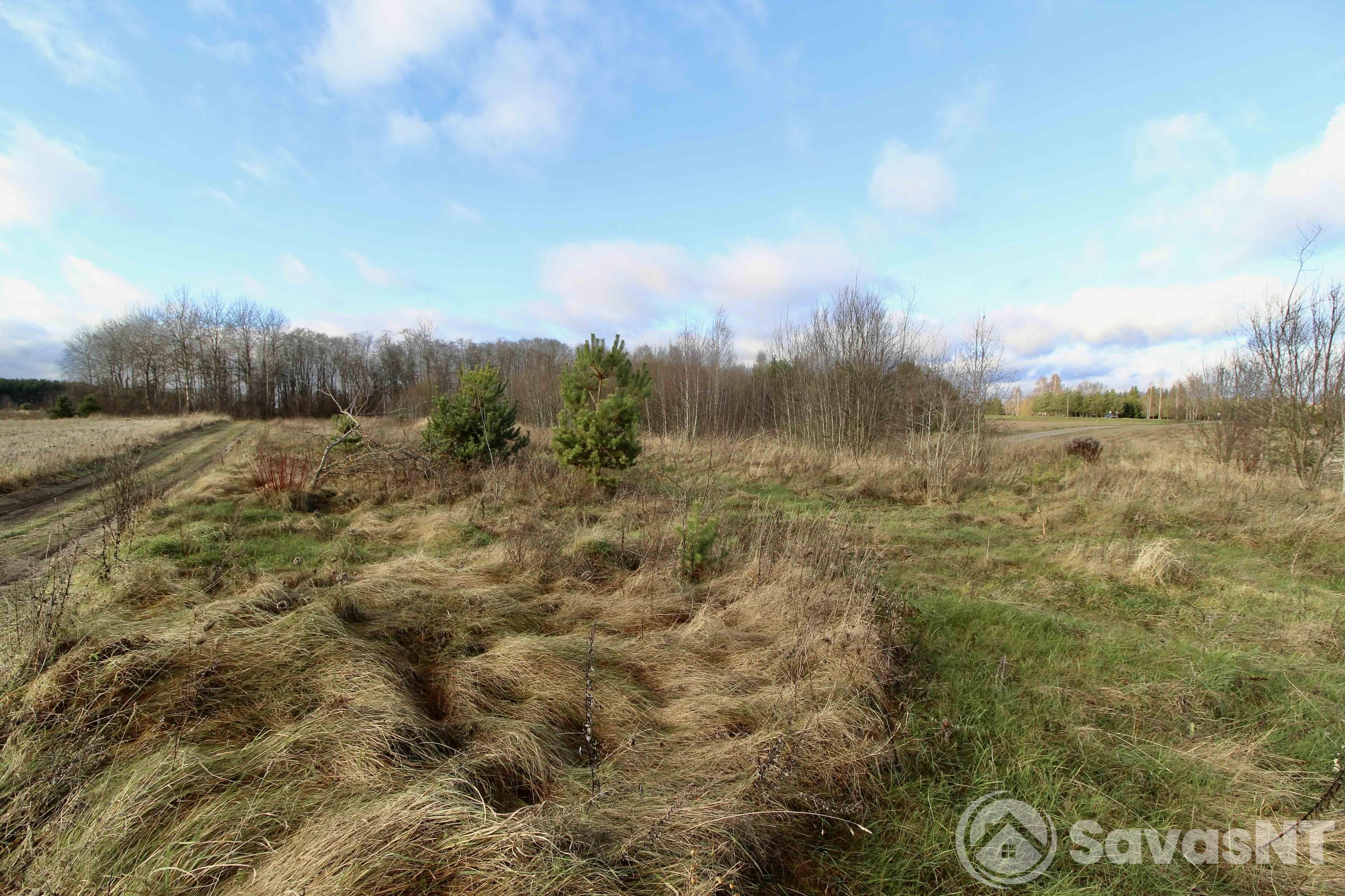 Parduodamas 78,57 arų sklypas  Pučkalaukio gatvėje, Didžiųjų Kabiškių km., Vilniaus rajone