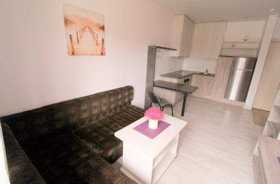 Antakalnyje, Karačiūnų g., nuomojamas dviejų kambarių butas