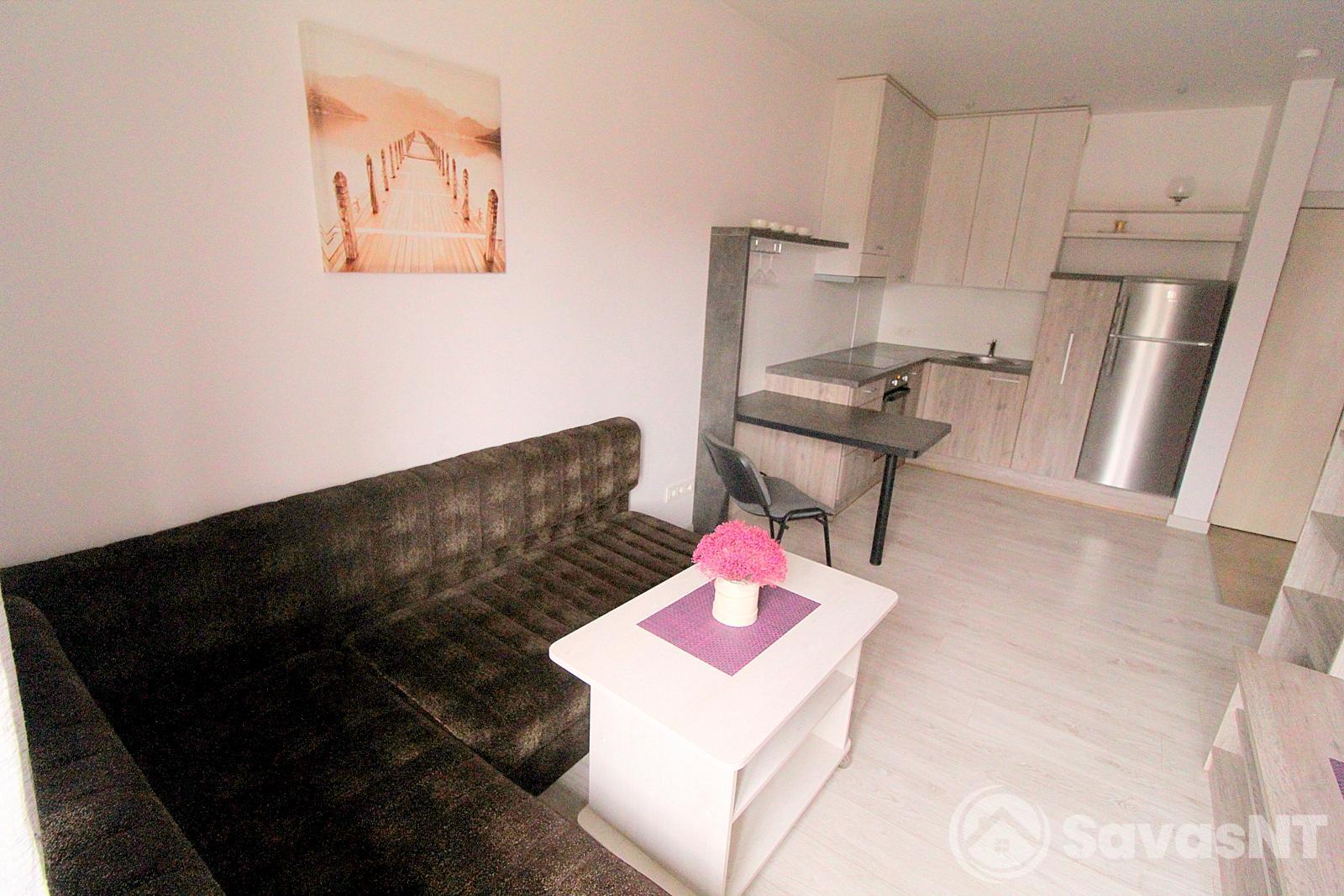 Antakalnyje, Karačiūnų g., nuomojamas dviejų kambarių butas