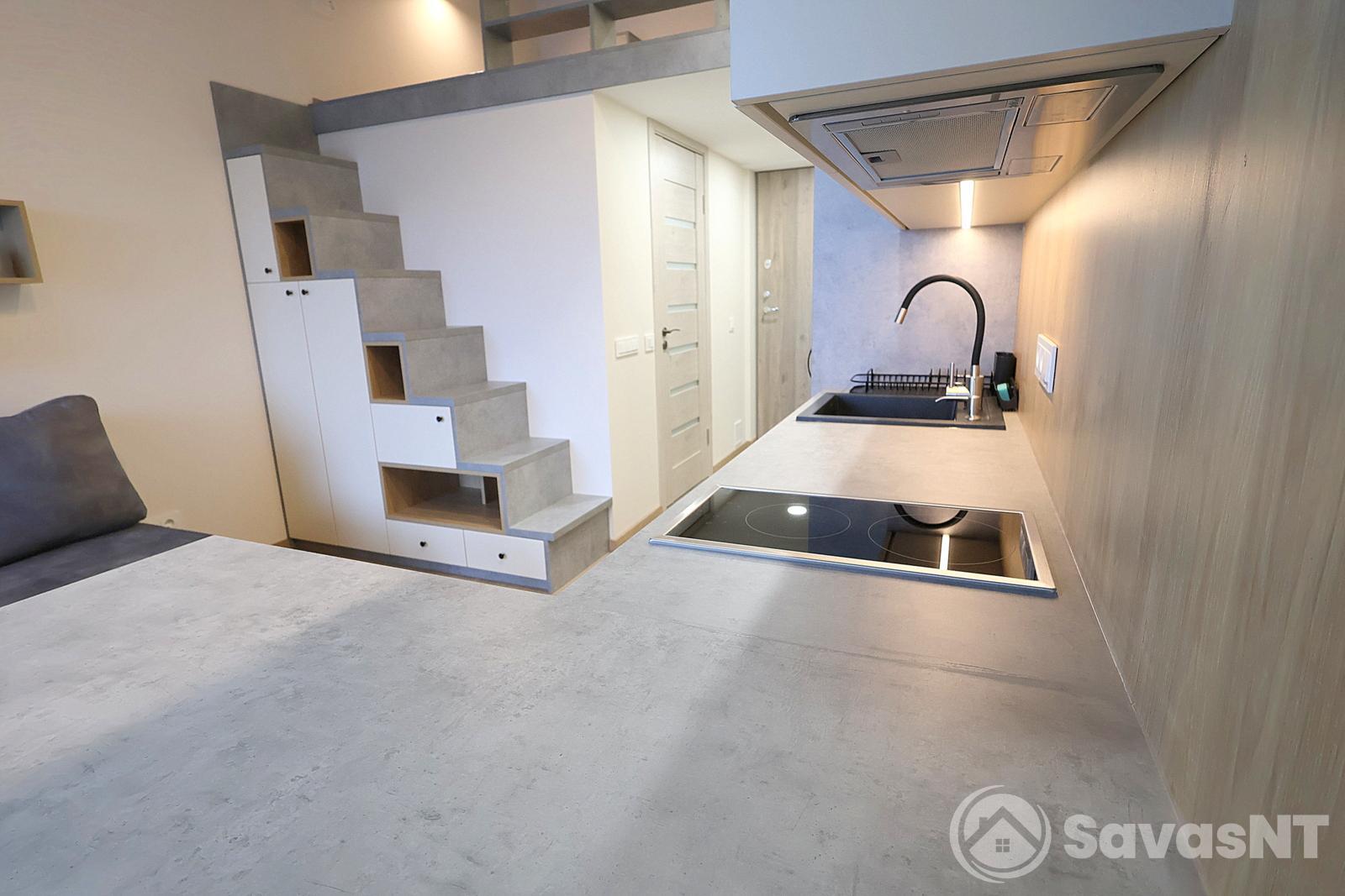 Naujamiestyje, Muitinės g. nuomojamas naujai įrengtas vieno kambario butas - LOFTAS