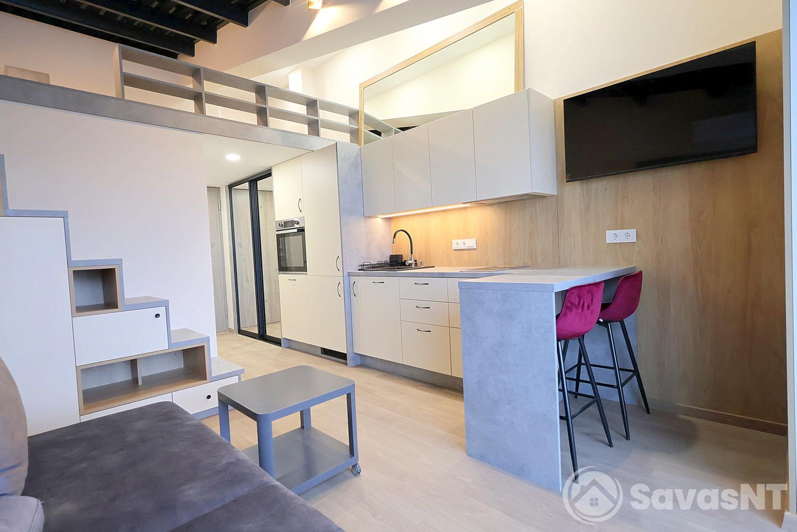 Naujamiestyje, Muitinės g. nuomojamas naujai įrengtas vieno kambario butas - LOFTAS