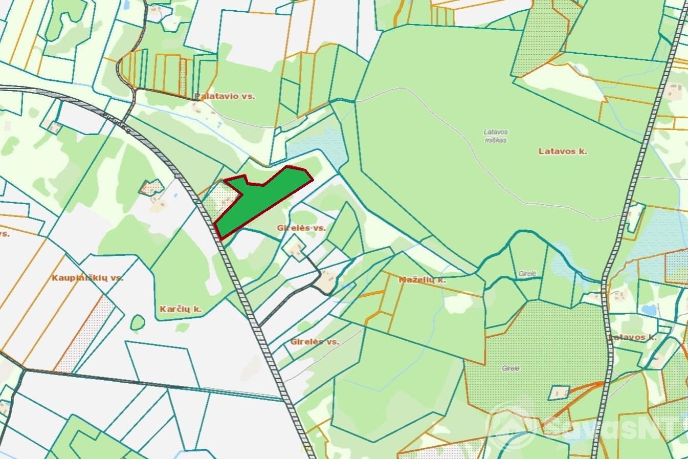 Anykščių rajone parduodamas 4,63 ha MIŠKŲ ŪKIO paskirties klypas