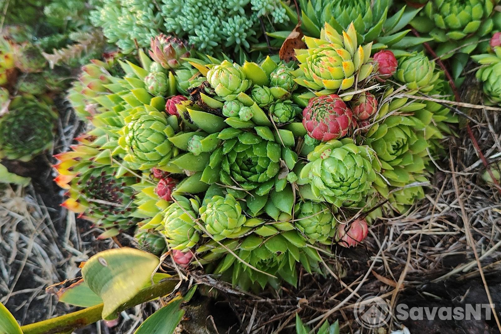 Anykščių rajone parduodami 3 sklypai