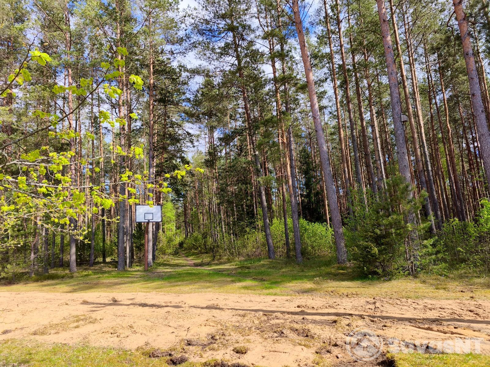 Antakalnyje, Vinciūniškių soduose parduodamas 6,18 arų sklypas su namu