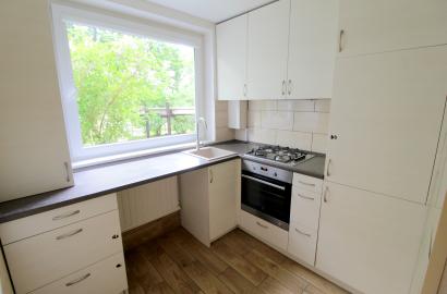 Nuomojamas dviejų kambarių butas Gerosios vilties g.