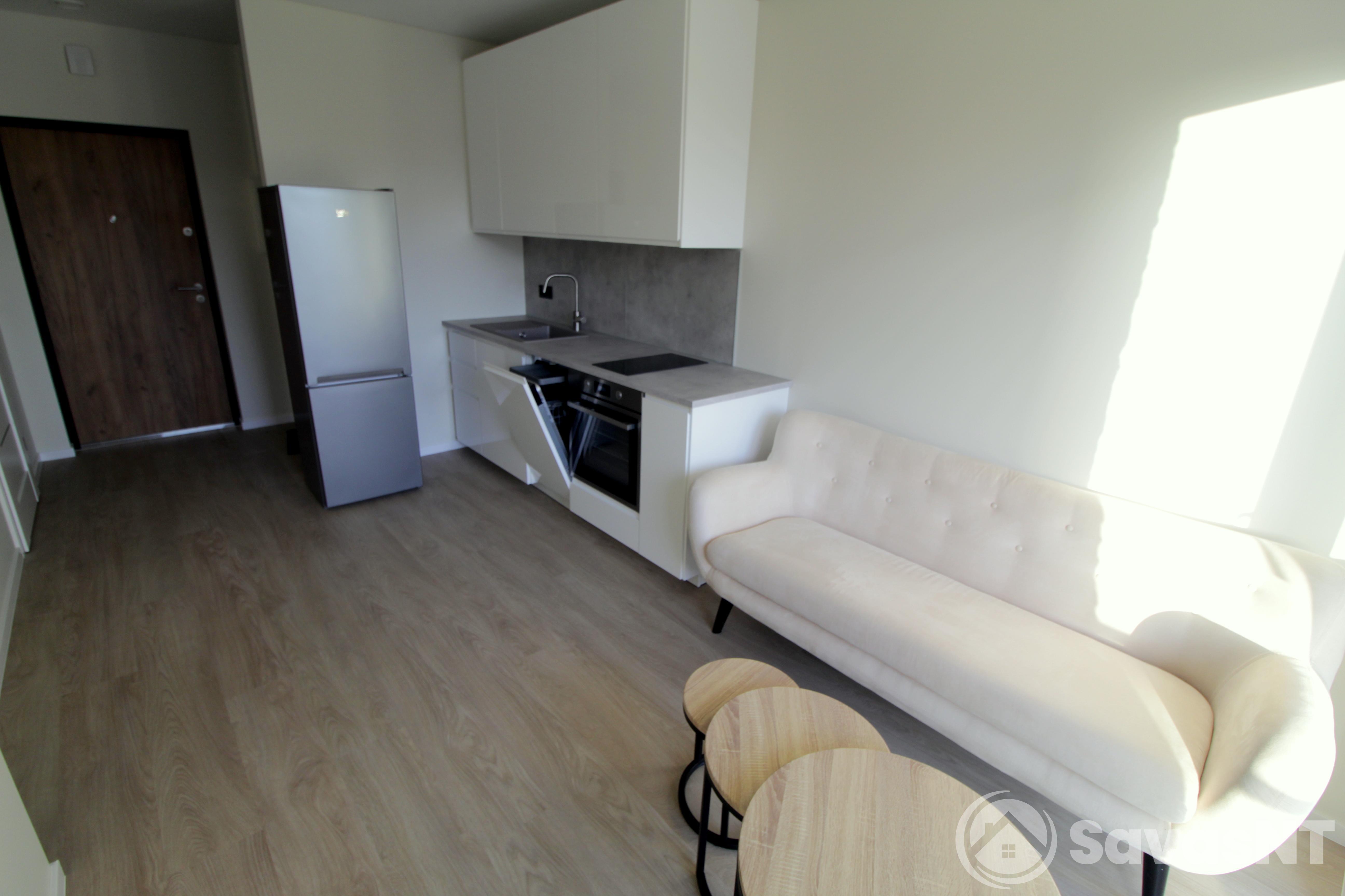 Nuomojamas vieno kambario butas Kareivių g.