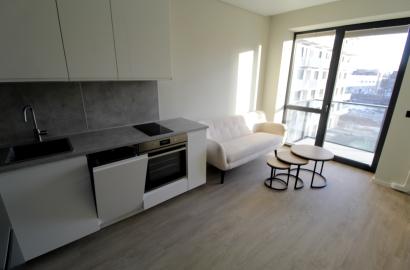 Nuomojamas vieno kambario butas Kareivių g.