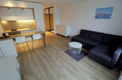 Nuomojamas vieno kambario butas Linkmenų g. 42