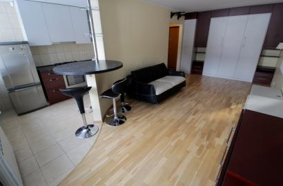 Nuomojamas vieno kambario butas Svajonių g.