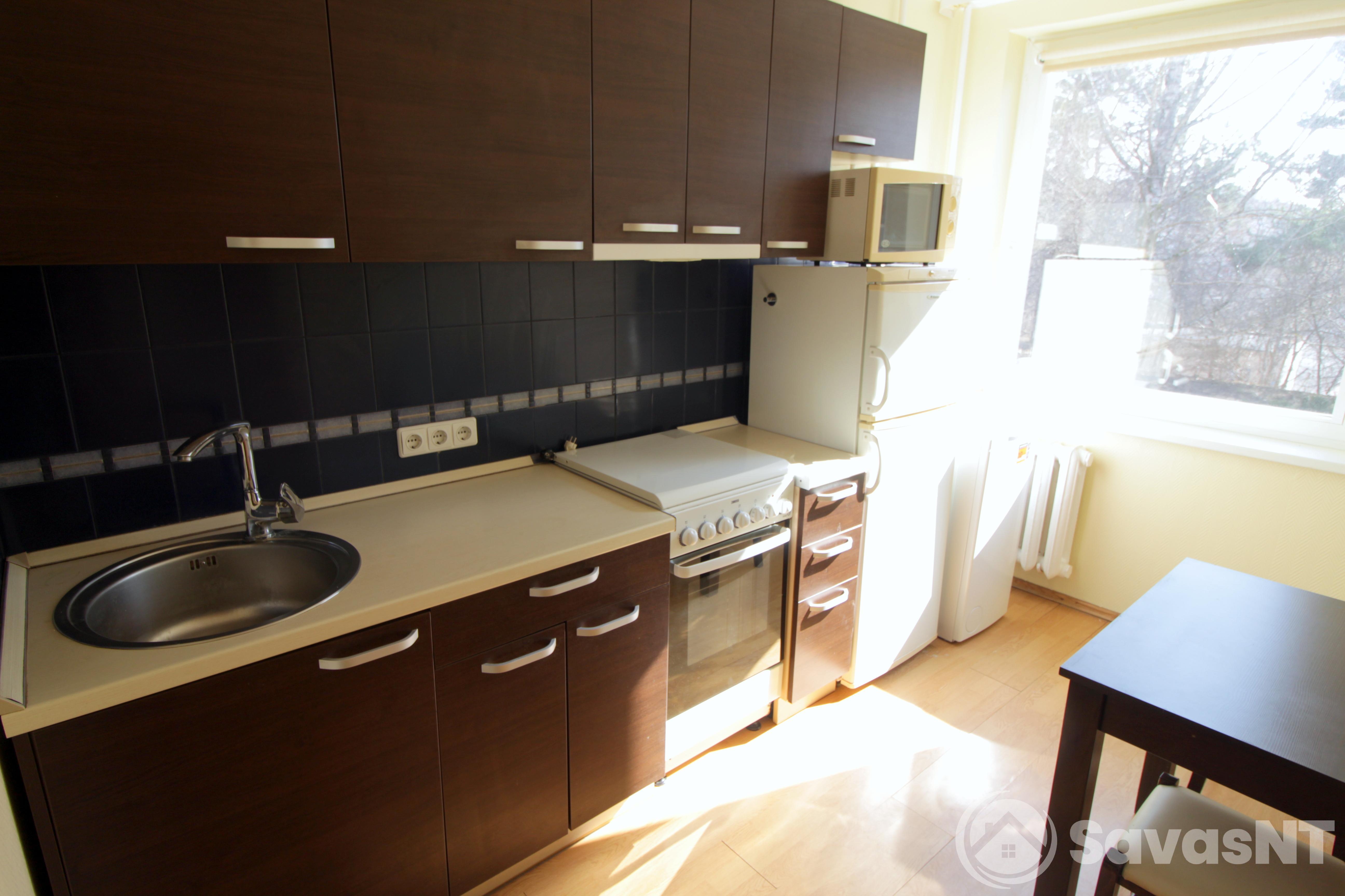 Nuomojamas vieno kambario butas Žolyno g.