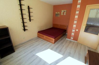 Nuomojamas vieno kambario butas Žolyno g.