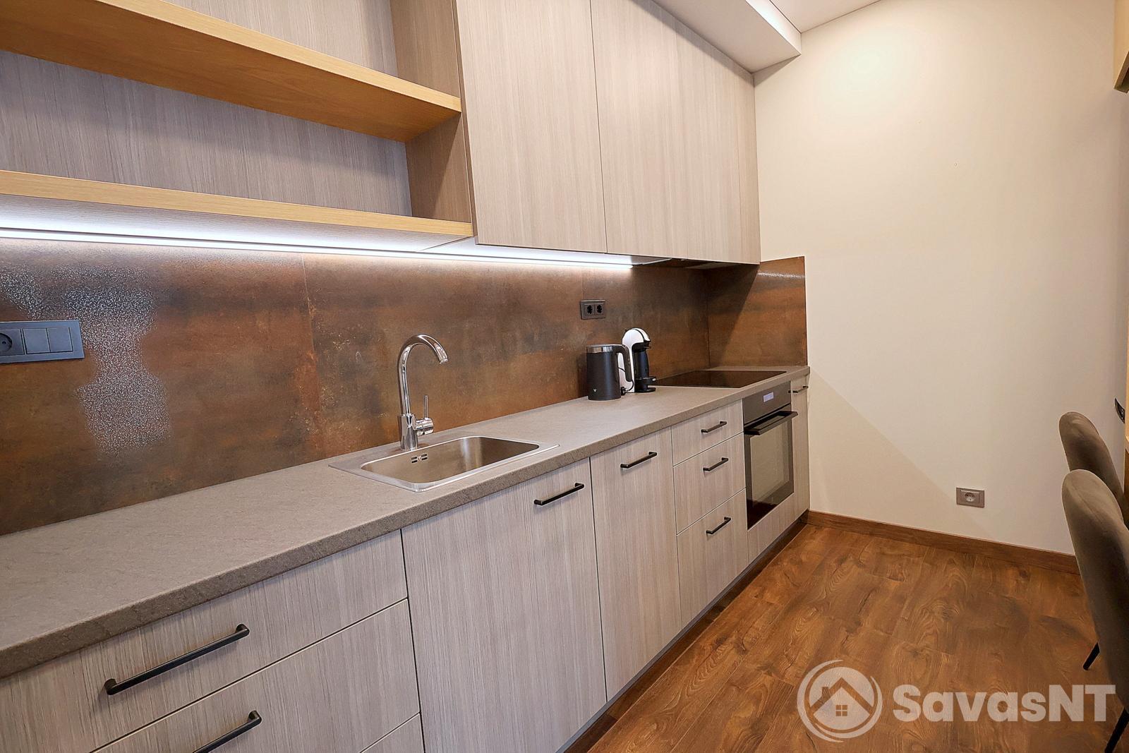 Nuomojamas 2k. Sausio 13-osios 31