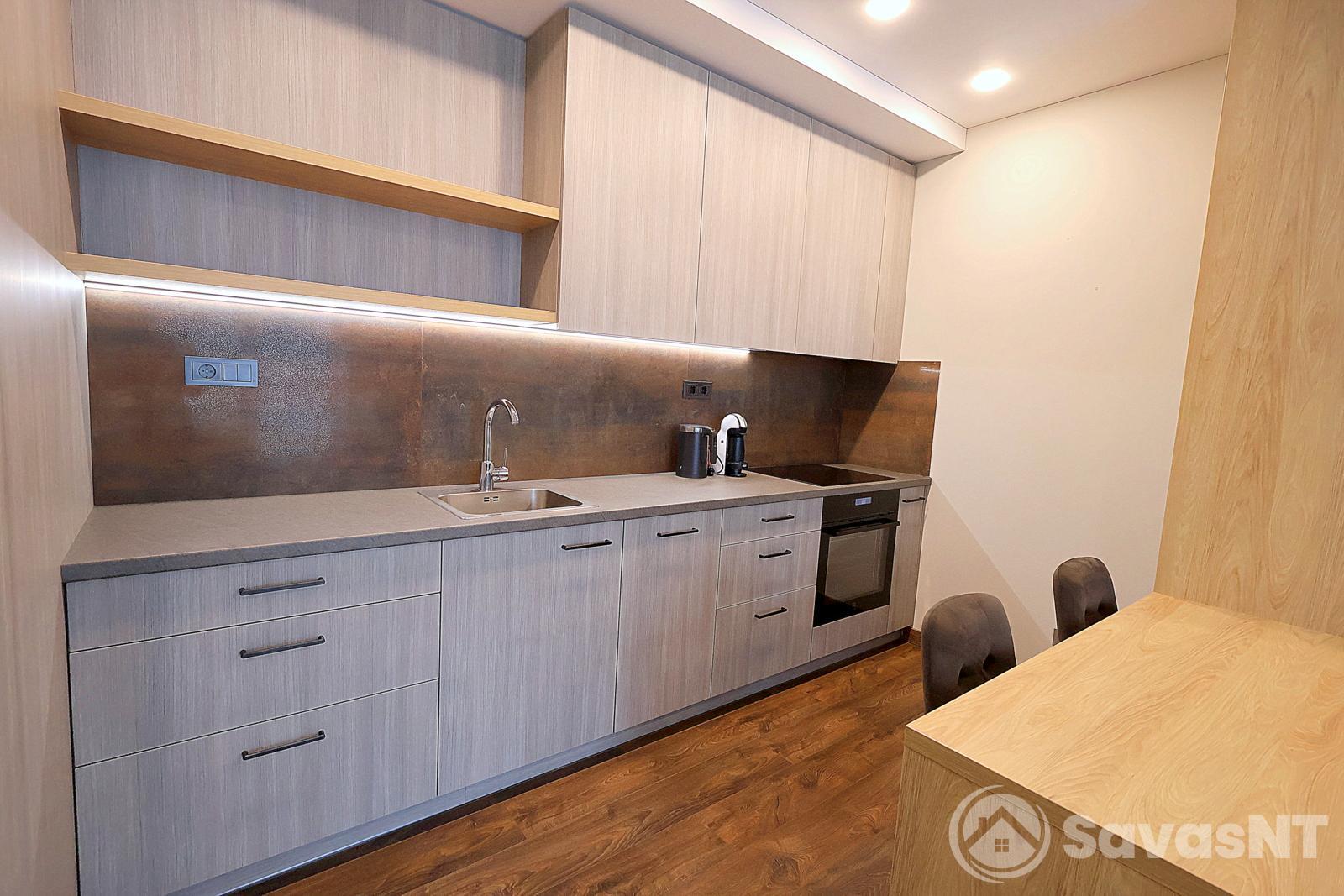 Nuomojamas 2k. Sausio 13-osios 31