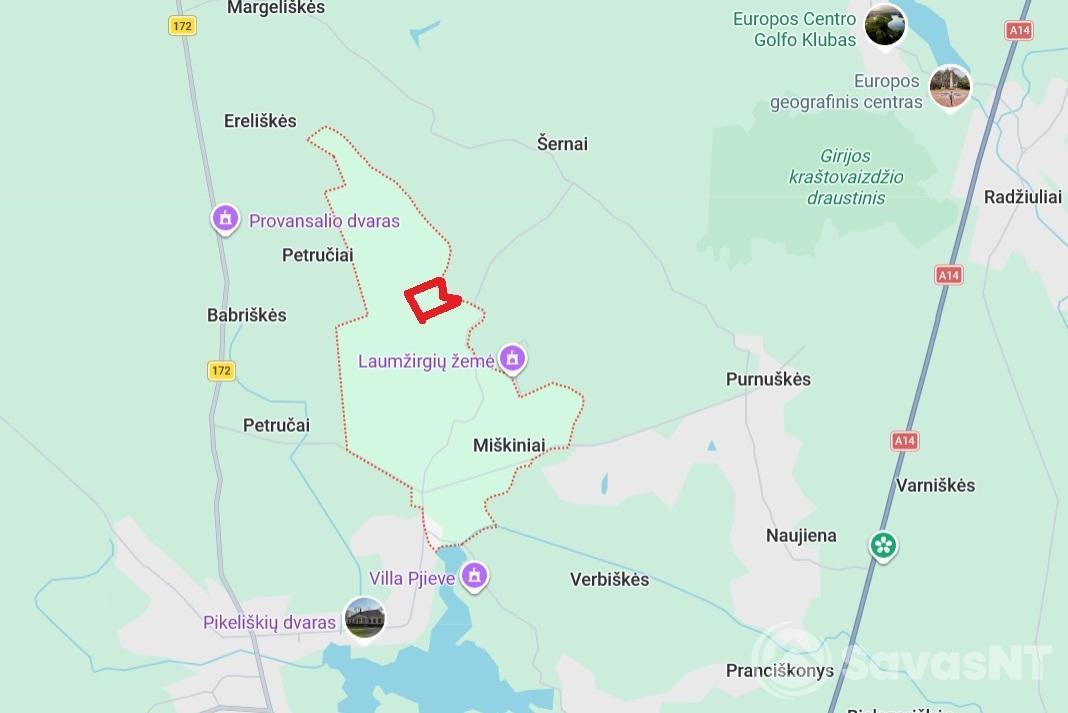 PARDUODAMAS MIŠKŲ ŪKIO SKLYPAS VILNIAUS RAJ., MIŠKININKŲ K. (RIEŠĖS SEN.) – 11,17 HA
