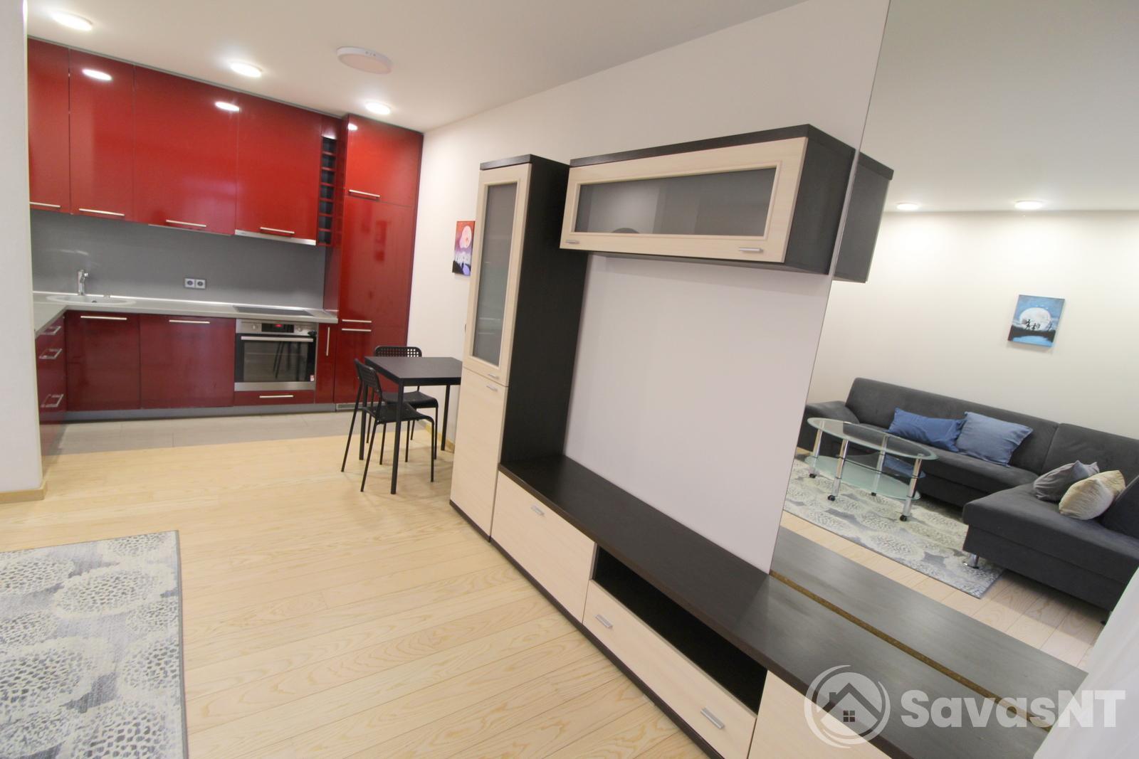 Pilaitėje, naujos statybos name išnuomojamas erdvus 3 kambarių butas.