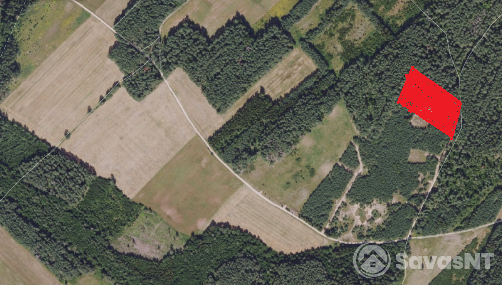 Vilniaus r.savivaldybėje.,Rukainių sen., Padvarininkų kaime parduodamas 1 ha Žemės ūkio sklypas  sklypas.