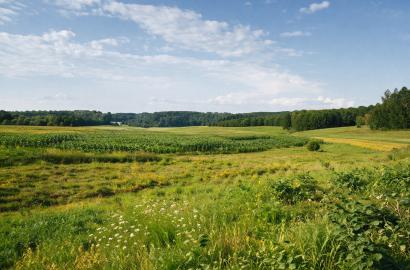Vilniaus r.savivaldybėje.,Rukainių sen., Padvarininkų kaime parduodamas 1 ha Žemės ūkio sklypas  sklypas.