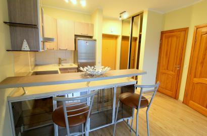 Nuomojamas JAUKUS ir ERDVUS 2 kambarių butas 40 kv.m Šeškinės g., Šeškinėje.