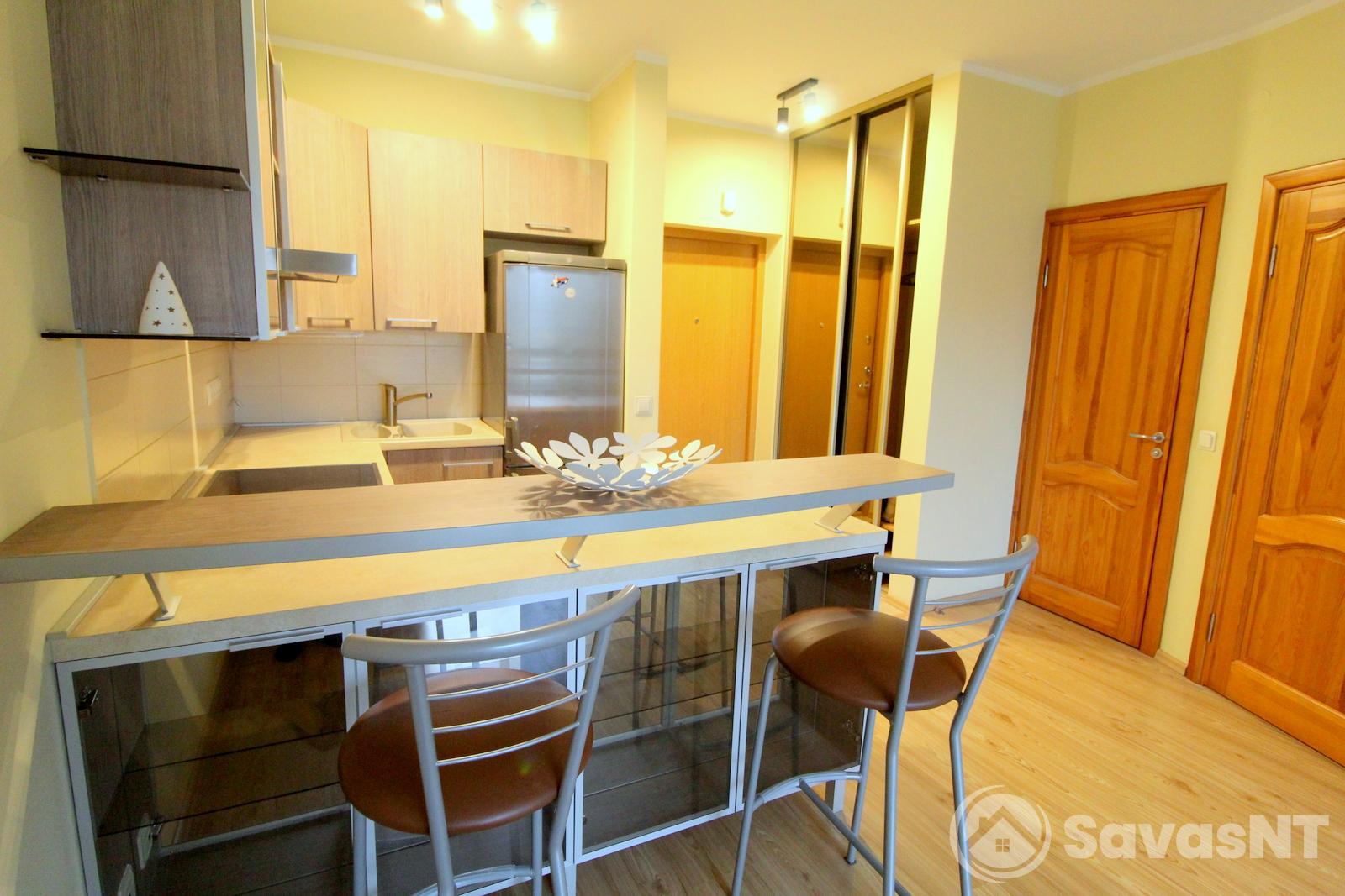 Nuomojamas JAUKUS ir ERDVUS 2 kambarių butas 40 kv.m Šeškinės g., Šeškinėje.