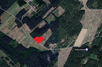 Vilniaus r.savivaldybėje.,Rukainių sen., Padvarininkų kaime parduodamas 1 ha Žemės ūkio sklypas  sklypas.